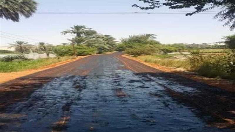 محافظ أسيوط: استكمال