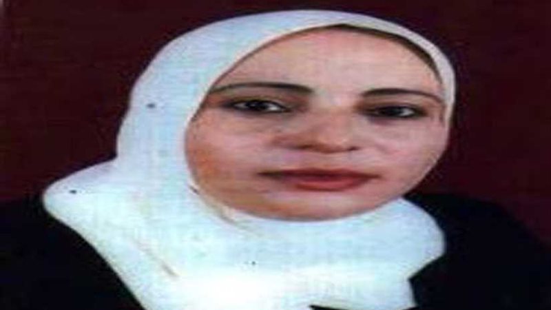 محافظ شمال سيناء