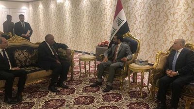 شكرى يؤكد الموقف المصري الحريص على أمن واستقرار العراق الشقيق