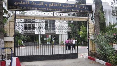 التعليم العالي: بدء تنسيق الشهادات الفنية 17 أغسطس بحد أدنى 60%