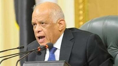 رئيس النواب ناعيًا ضحايا معهد الأورام: استهداف الإرهاب للمدنيين 