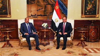 التلفزيون الموريتاني يبرز دور مصر في مساعدة الكوادر الموريتانية