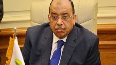 أحياء بالقاهرة تخلو من رؤساء و4 جدد بحركة المحليات