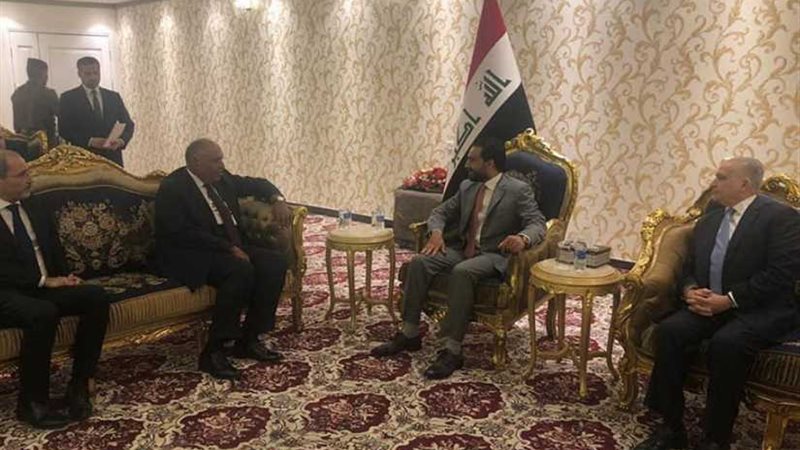 شكرى يؤكد الموقف