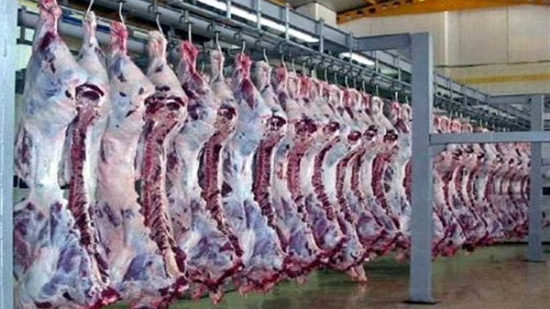 مجازر المنوفية تحت