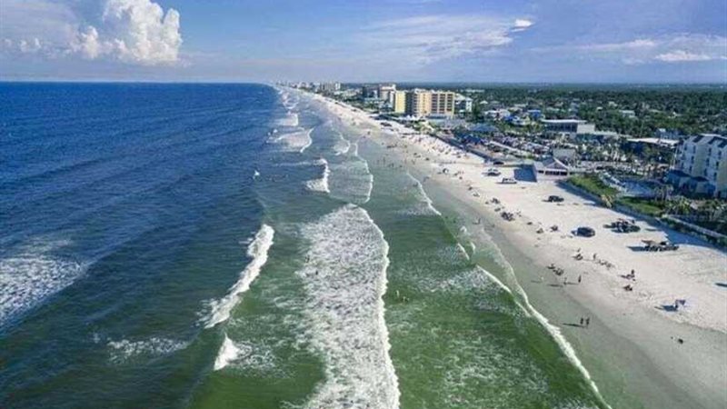 أسماك القرش تهاجم