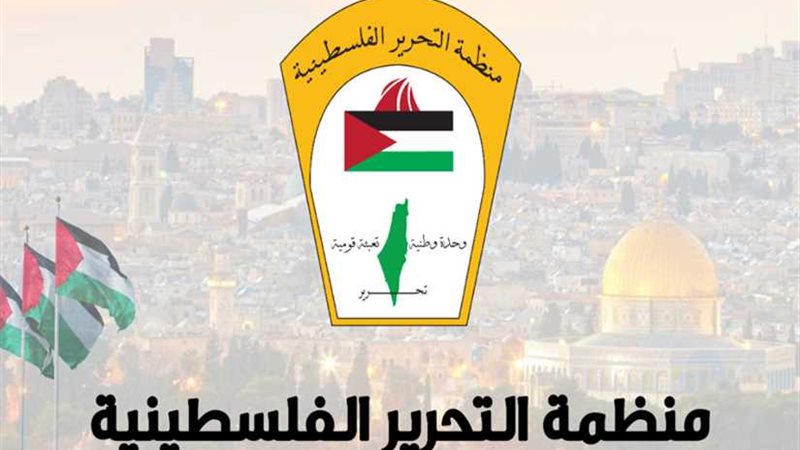 اللجنة التنفيذية