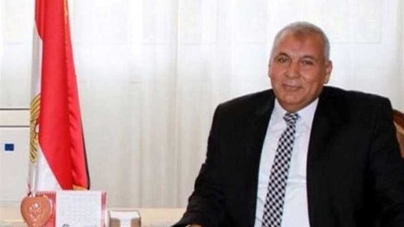 محافظ الوادي الجديد