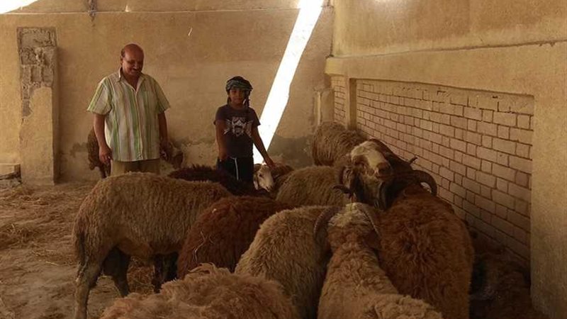 وصول الدفعة الأولى