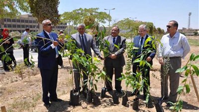 500 شجرة مثمرة بكل جامعة حكومية