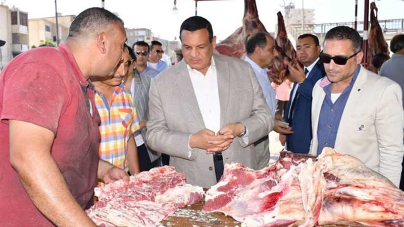 محافظ البحيرة يتفقد