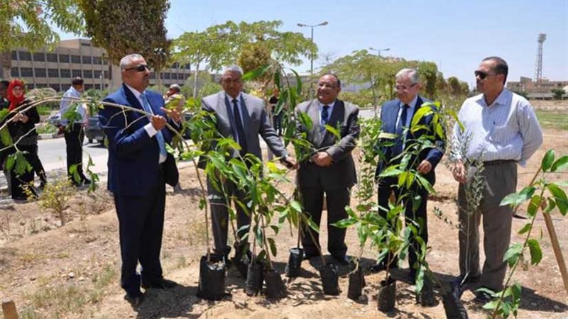 500 شجرة مثمرة بكل