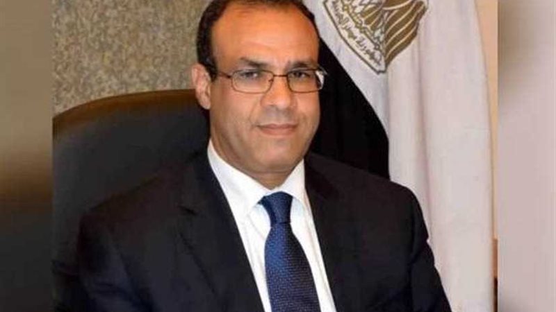 سفير مصر في برلين:
