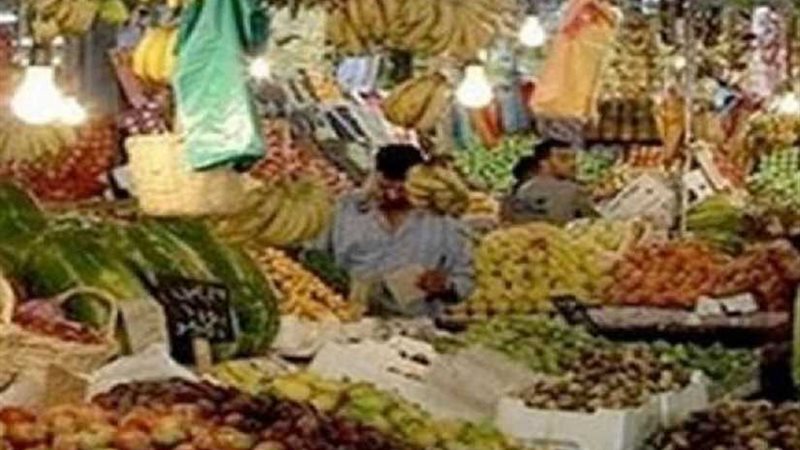 الجيزة تنفي وقف نشاط