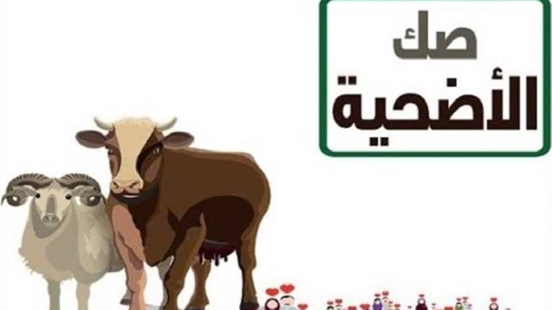 الأوقاف تكشف بالأرقام