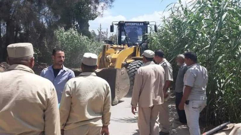 إزالة 175 حالة تعدٍ