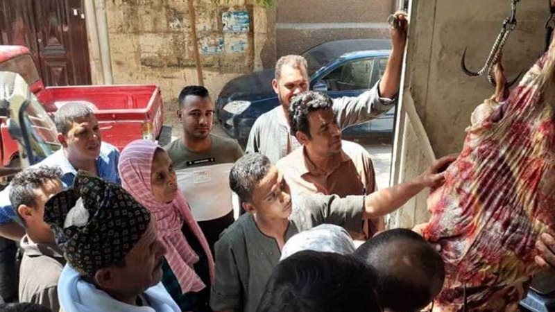 محافظة أسيوط: حملات