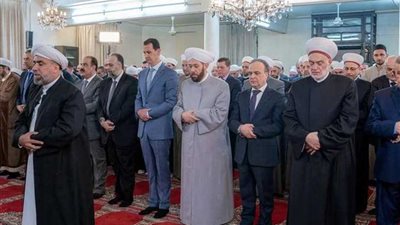 الأسد يظهر في 