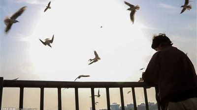 هاربة إلى حضن المتوسط ..مهاجرة عاجية تروي مأساتها