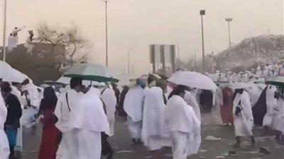 الرئيس التنفيذي لبعثة الحج يطمئن على أحوال الحجاج بعد سقوط أمطار على صعيد عرفات