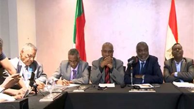 المعارضة السودانية: مصر تبذل جهودا كبيرة لتحقيق أهداف الثورة