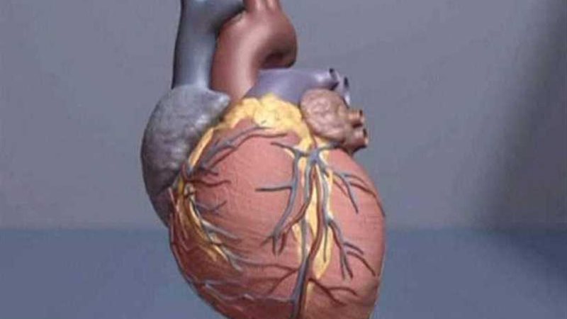 أمراض القلب القاتلة..