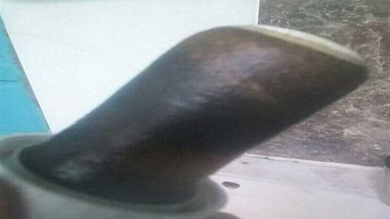 أهالي الجريدات يطالبون