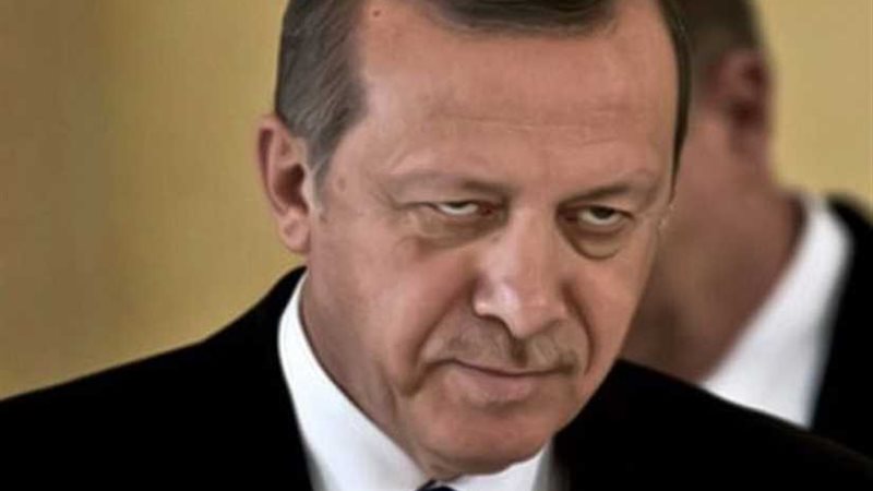 أردوغان يواصل أخونة