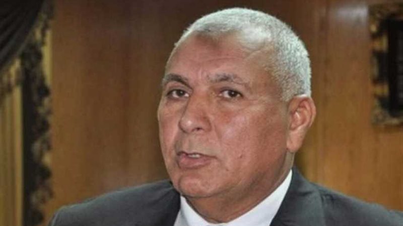 محافظ الوادي الجديد