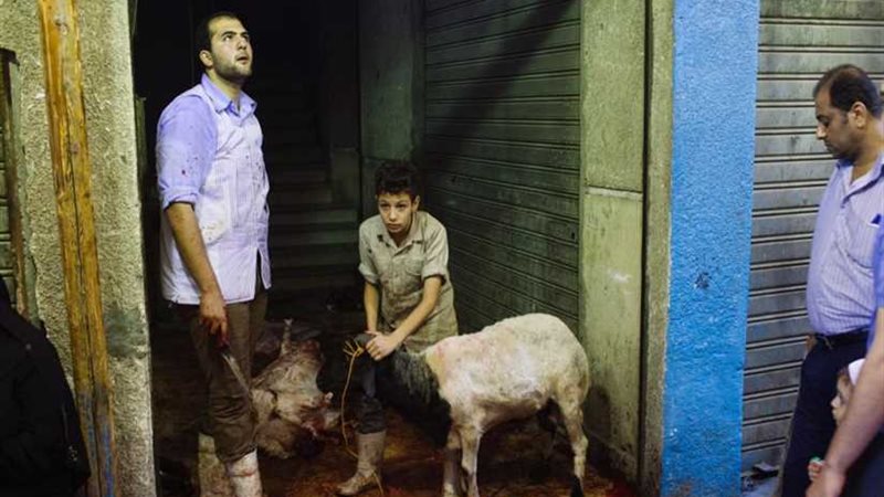 الجزار المتجول..