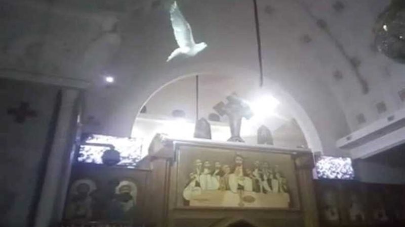 كاتدرائية حلوان تنفي