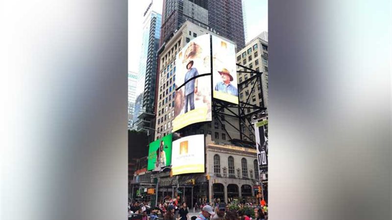 صور زاهي حواس تزين