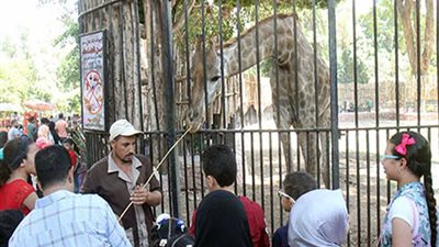 95 ألف زائر لحدائق الحيوان في رابع أيام عيد الأضحى