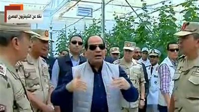 السيسي يتفقد صوبة محصول الفلفل الألوان