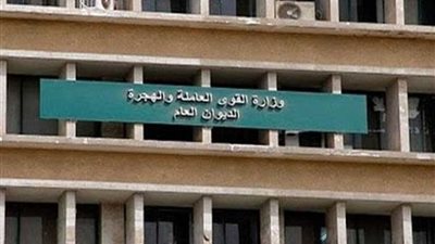 القوى العاملة تتلقي طلبات لـ100 وظيفة في جزارة الدواجن بالسعودية