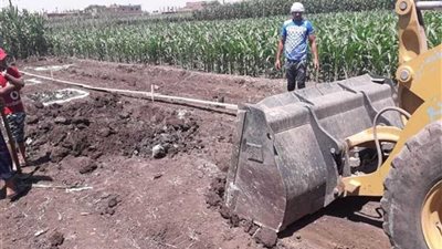 إزالة فورية لـ4 حالات تعدٍ على أراضٍ زراعية بمركز منفلوط.. صور