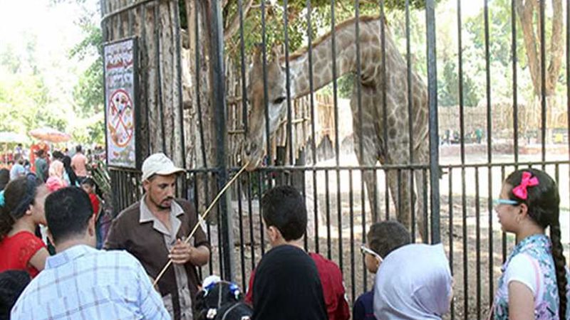 95 ألف زائر لحدائق