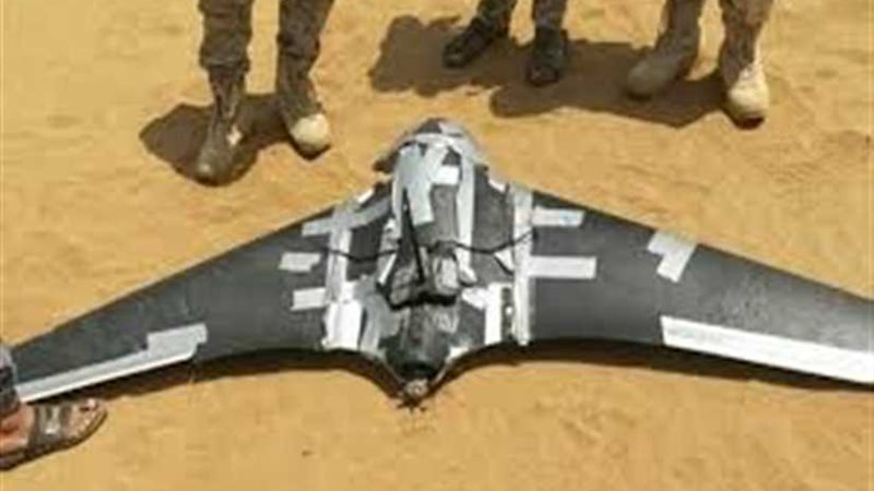 تحالف دعم الشرعية