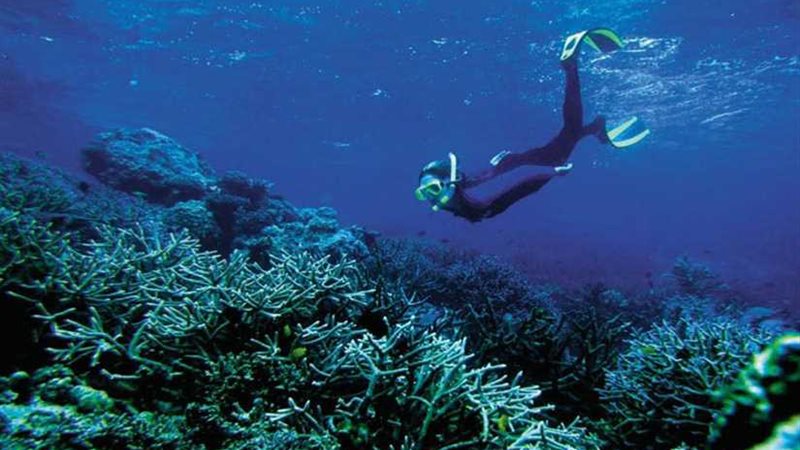 جزر سليمان.. جنة