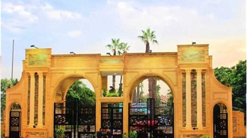 جامعة المنصورة رابع