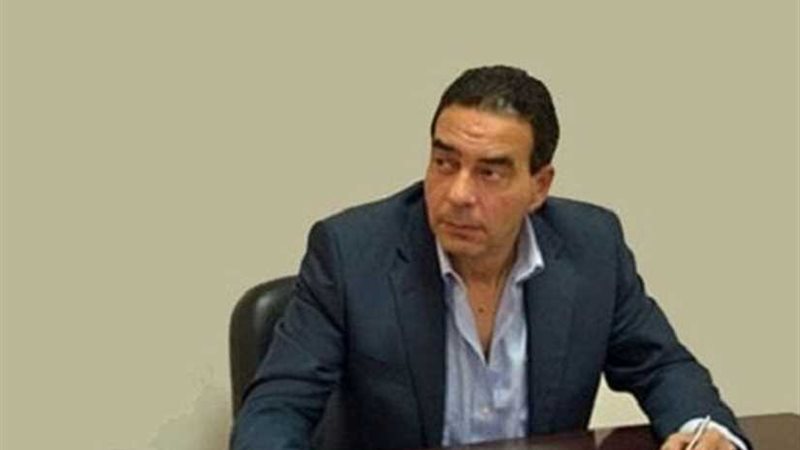 أيمن أبو العلا: مشروع