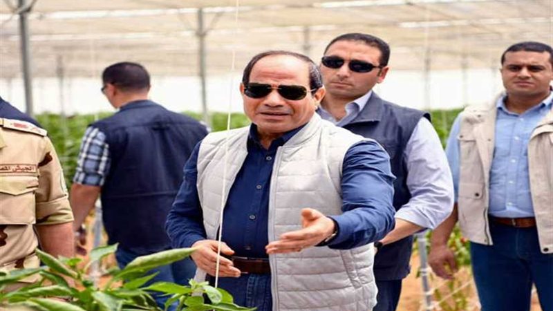 تصريحات الرئيس السيسي