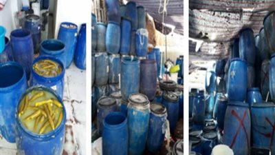 ضبط 15 طن ملح ومخللات غير صالحة للاستهلاك داخل مصنع بالجيزة