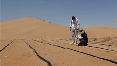 باحثون صينيون يحولون الصحراء لتربة صالحة للزراعة
