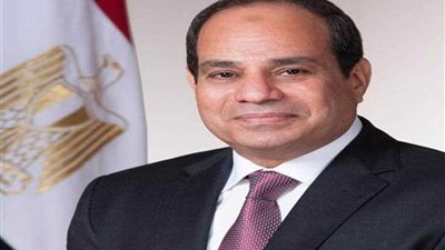 نقيب الصحافة اللبنانية: اللاجئون السوريون بمصر يلاقون معاملة كريمة في عهد الرئيس السيسي