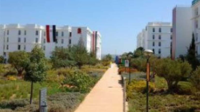 الفوج الخامس للبعثة