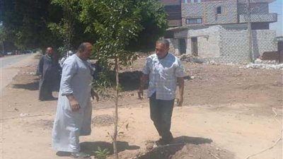 تجميل وتشجير مداخل قرى أبوقرقاص بالمنيا