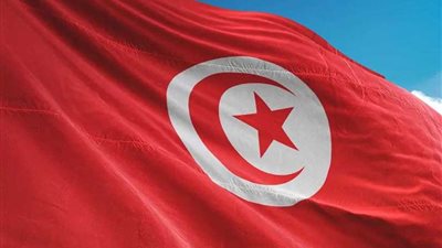 تونس: تعديلات على قانون الانتخابات والاستفتاء