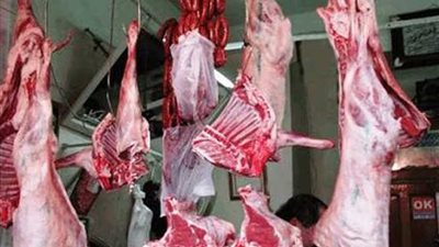 توزيع خمسة أطنان من لحوم الصكوك بالإسكندرية