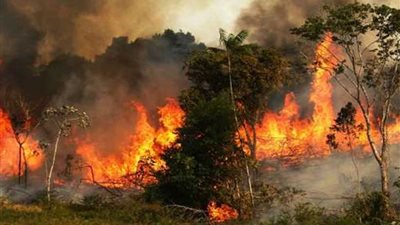 رئيس الوزراء البريطاني يبدي قلقه 